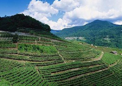蓬腾拓展培训基地