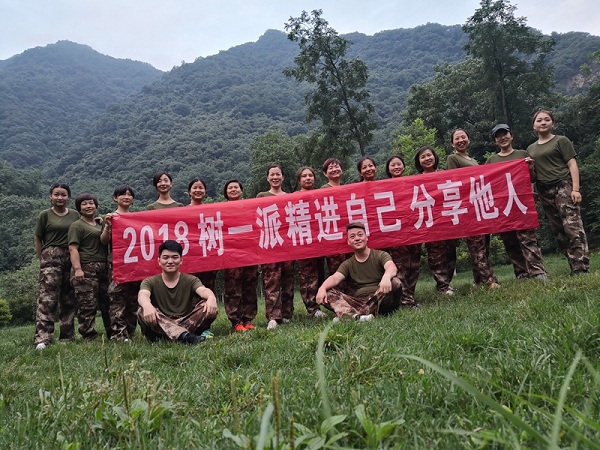 树一派团队风采