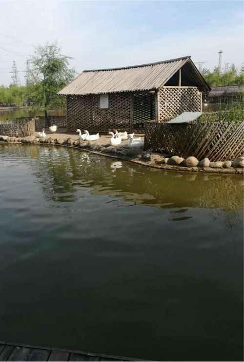 图片19.jpg