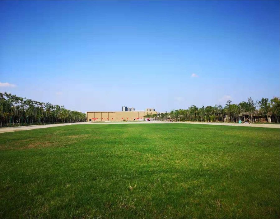 图片22.jpg